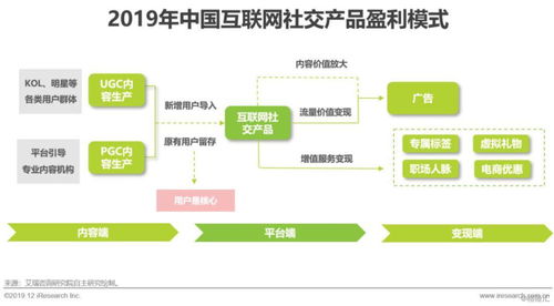 2019年中國互聯網社交企業營銷策略白皮書 應對用戶增長放緩的營銷創新
